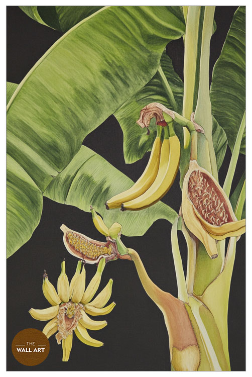 images/products/banana_tree_i/banana_tree I_WHITE_P.jpg